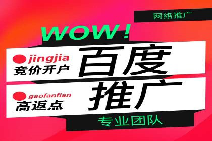 谷歌竞价广告的出价策略及某公司实践案例